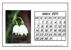 Kalenderblatt-März-2011-2.pdf